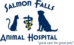 Salmon Falls LOGO