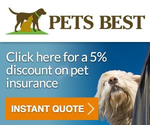 Pet Insurance